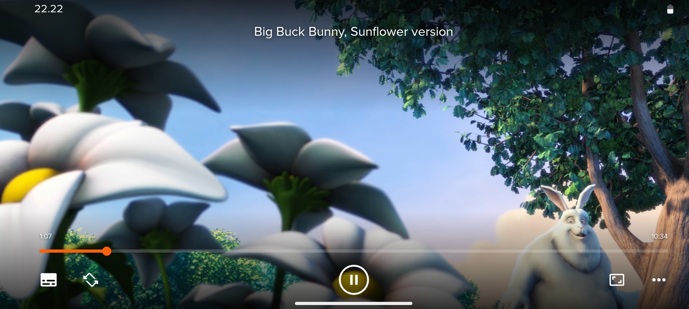 Screenshot of VLC media player on Android